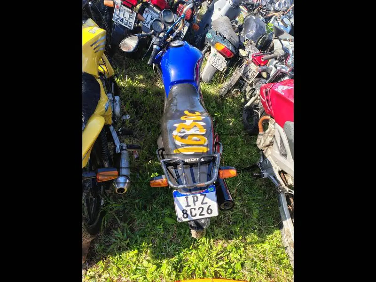 LOTE 0163