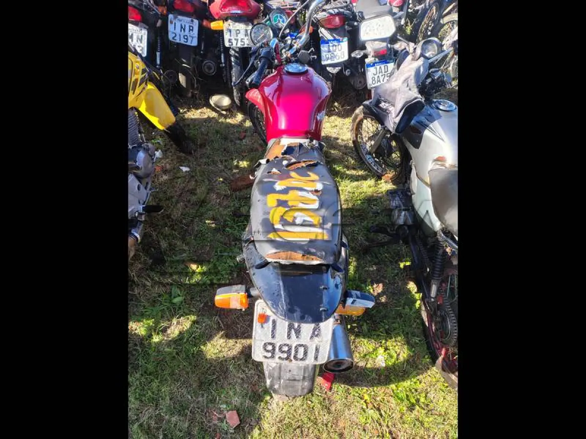LOTE 0137