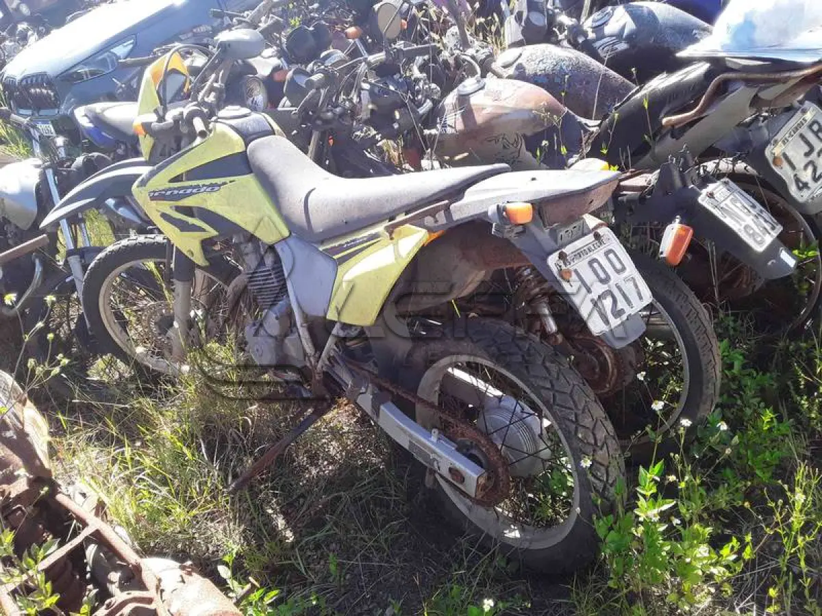 LOTE 0060
