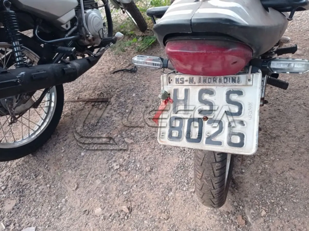 LOTE 0043