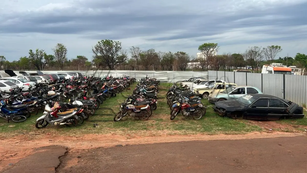 LOTE 0001