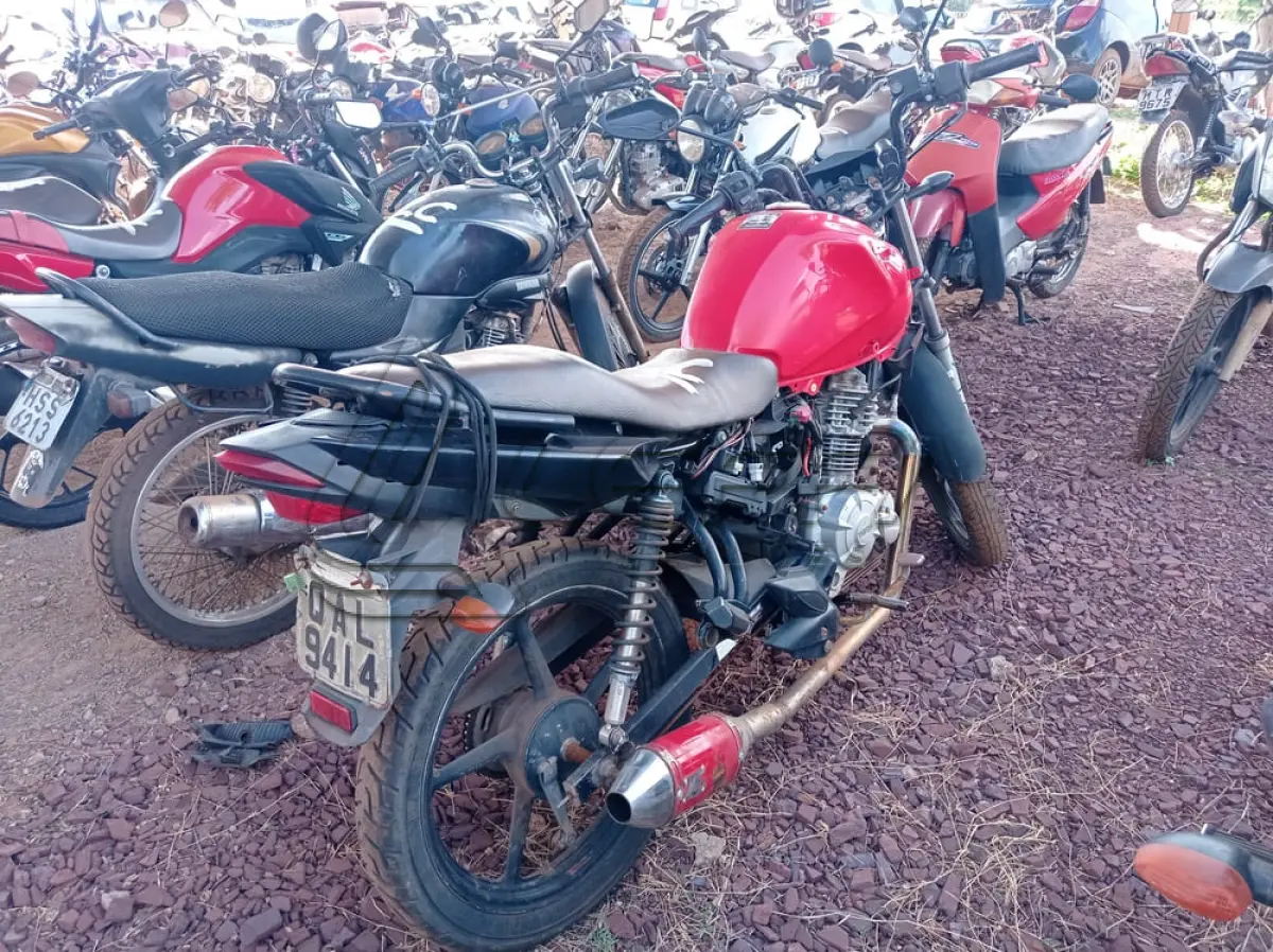 LOTE 0099
