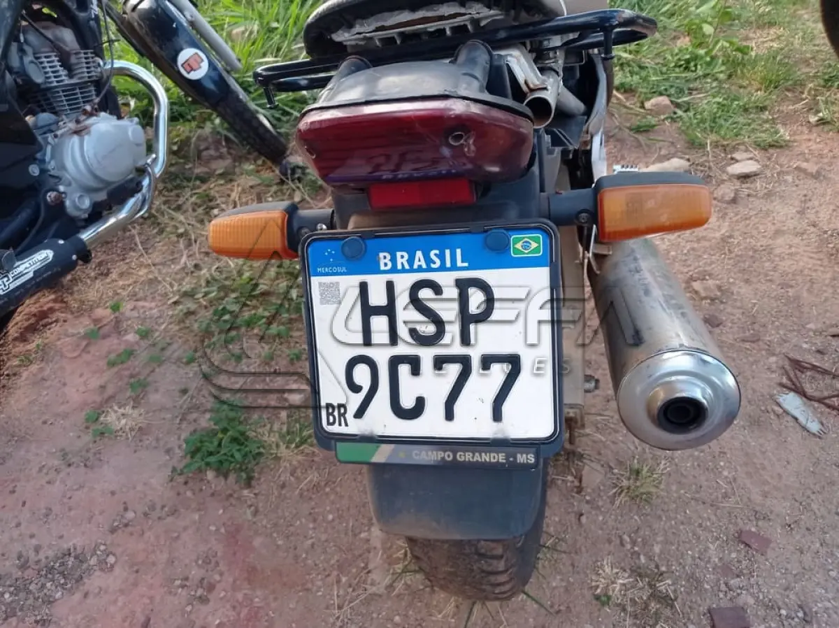 LOTE 0097