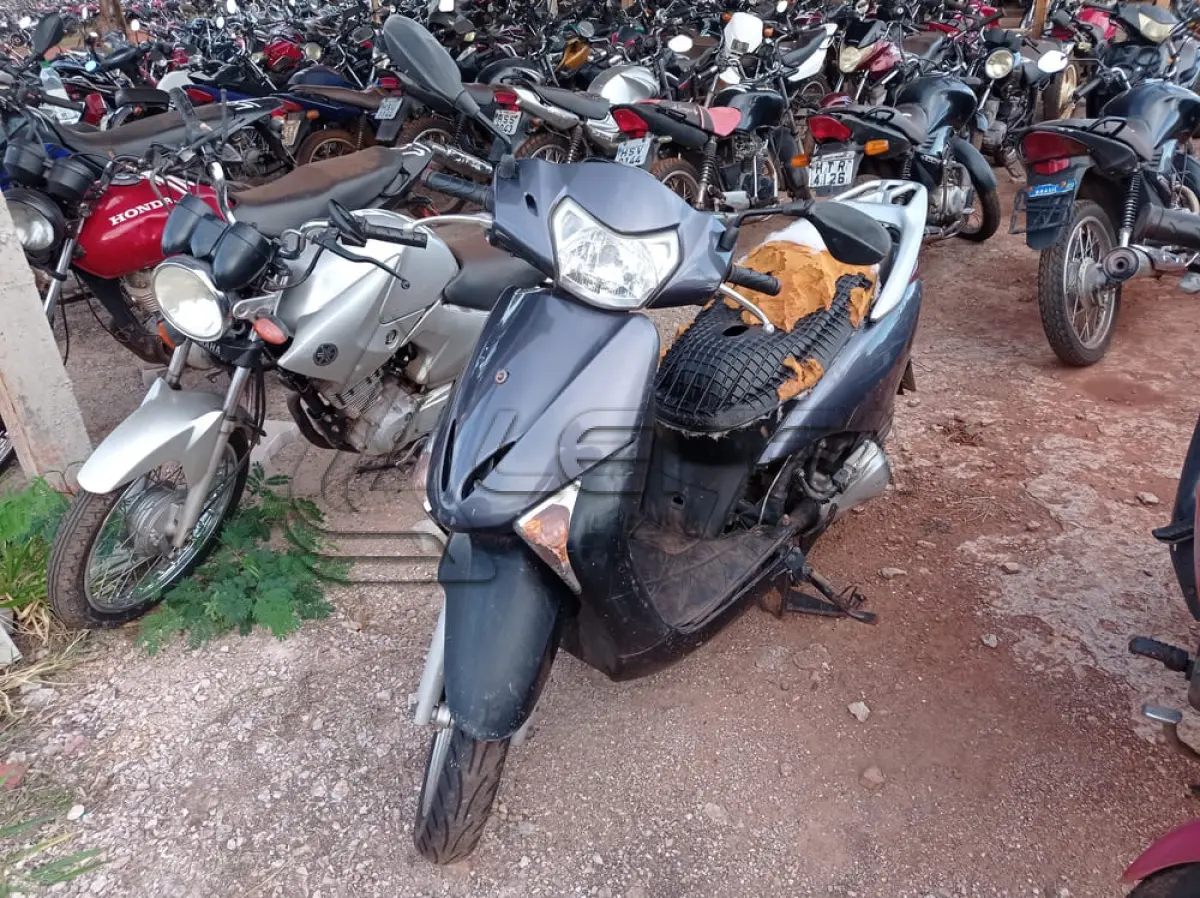 LOTE 0060