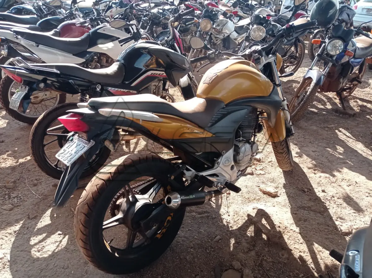 LOTE 0079