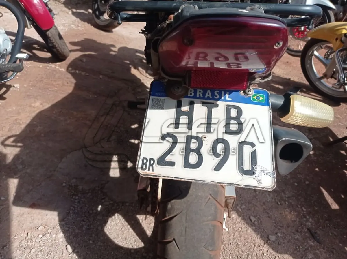 LOTE 0055
