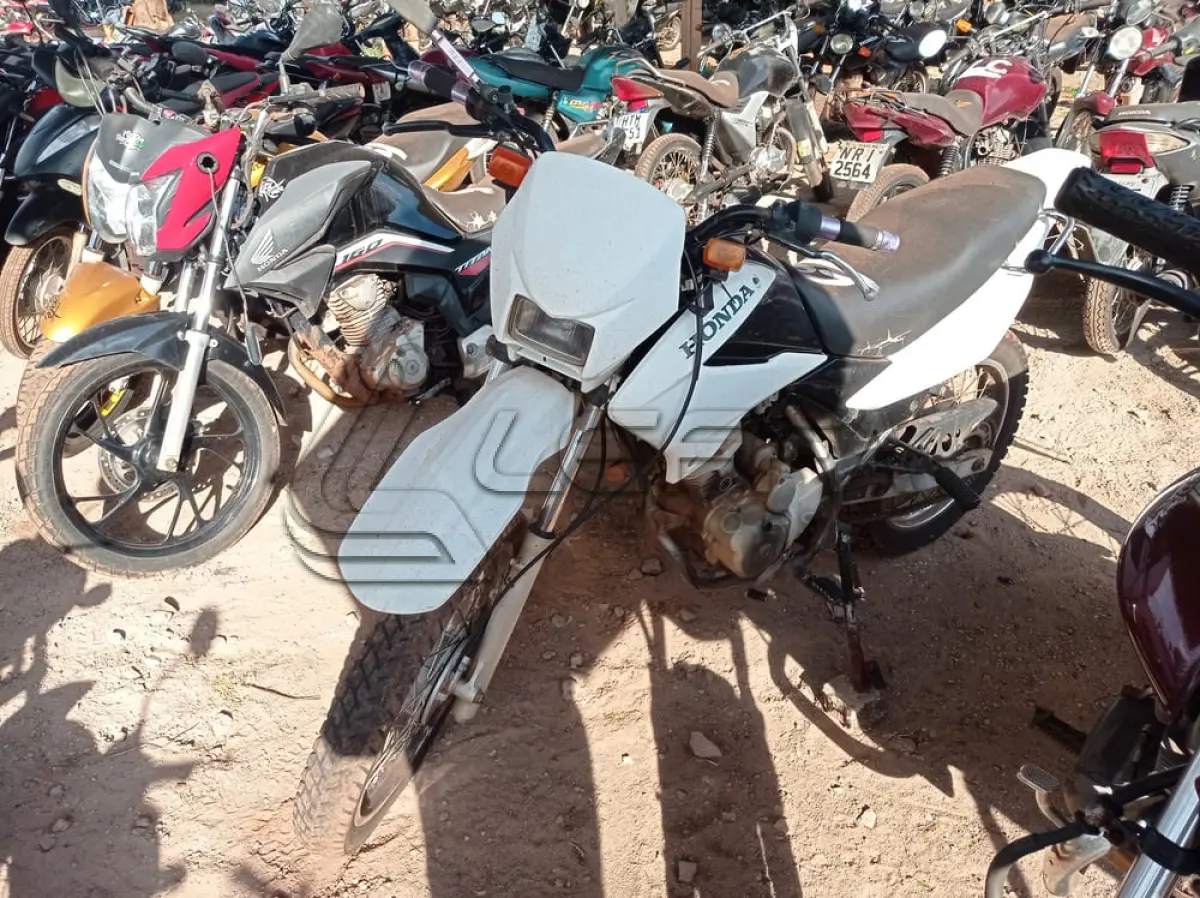 LOTE 0067