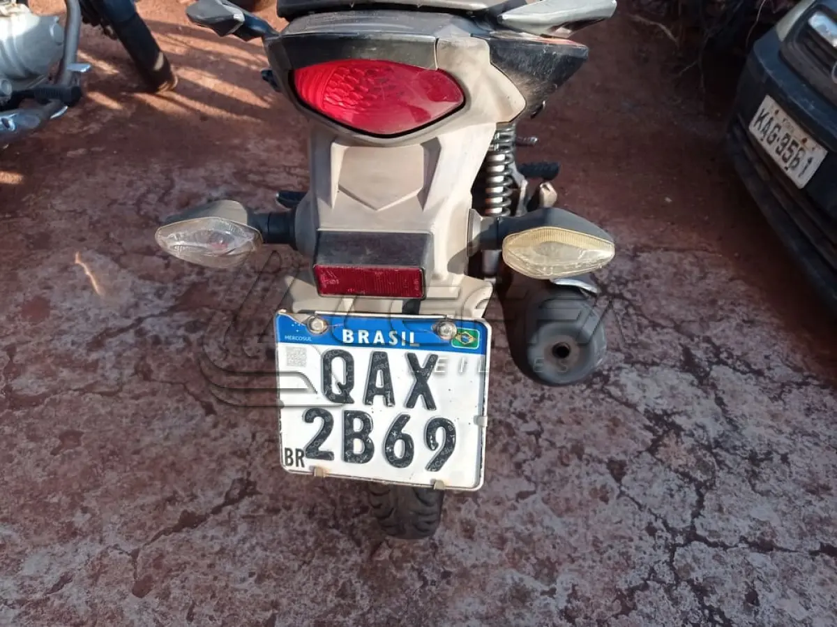 LOTE 0109