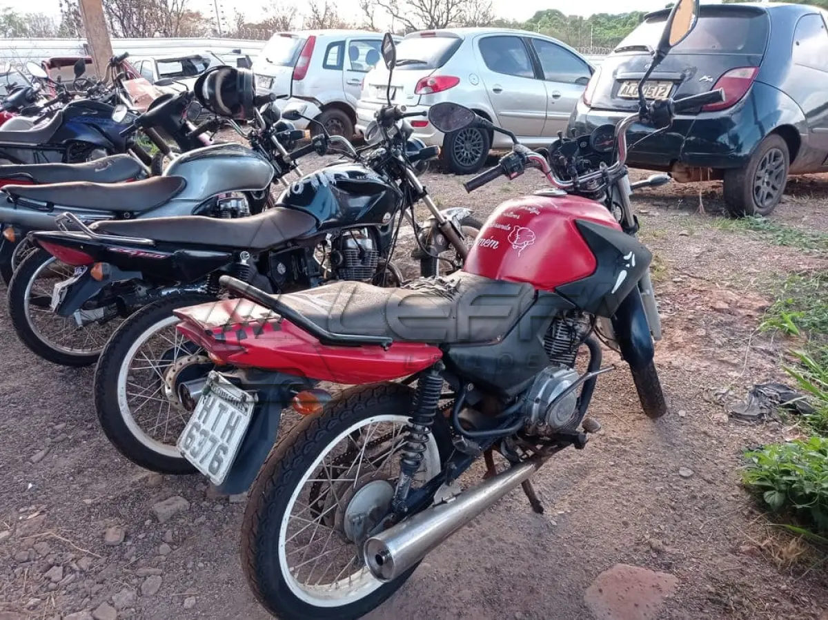 LOTE 0101