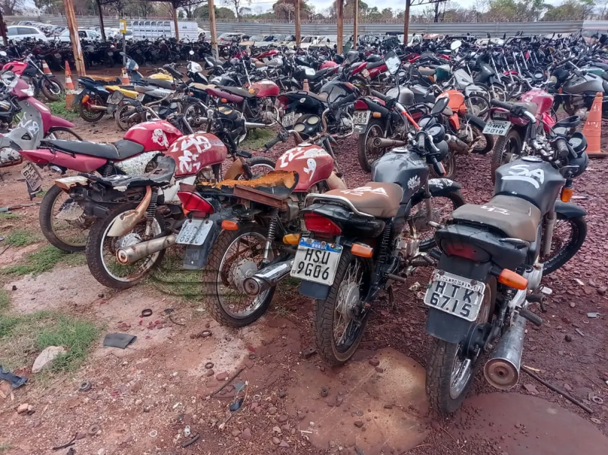 LOTE 0042