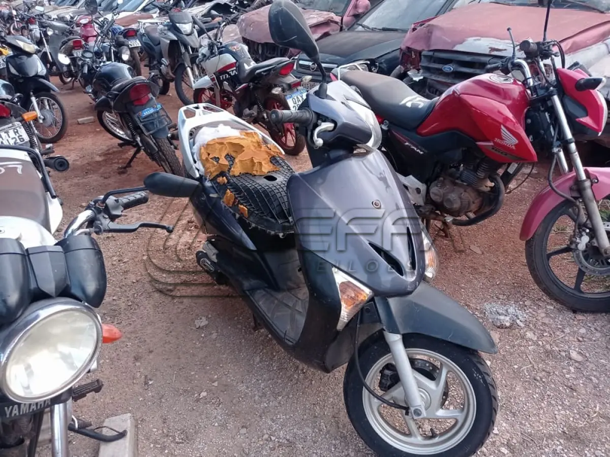LOTE 0060