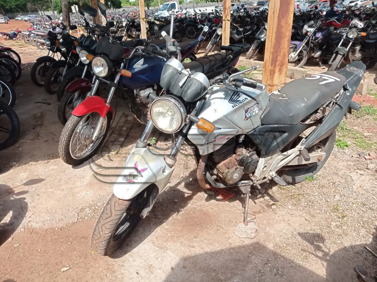 LOTE 0098