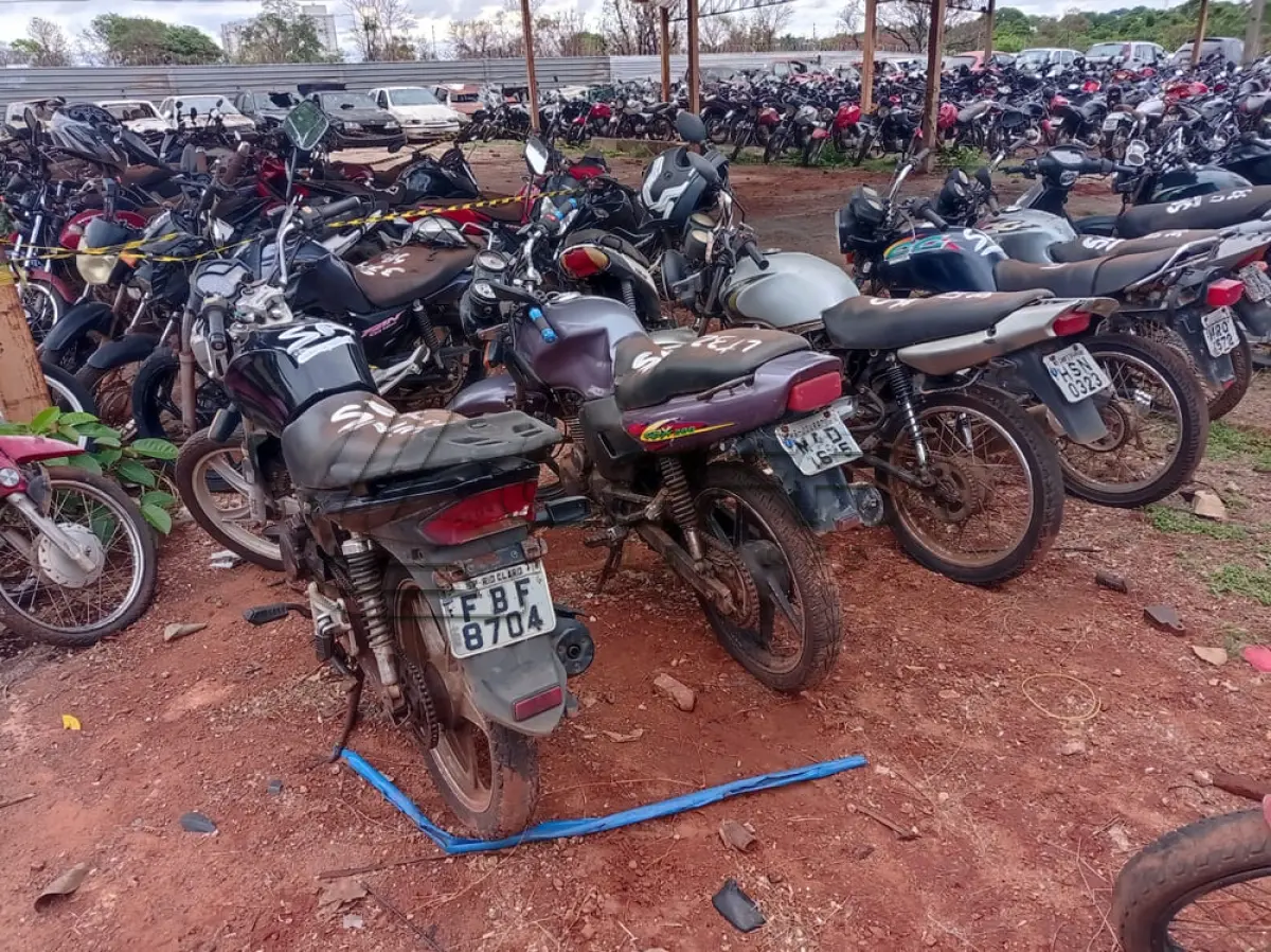 LOTE 0033