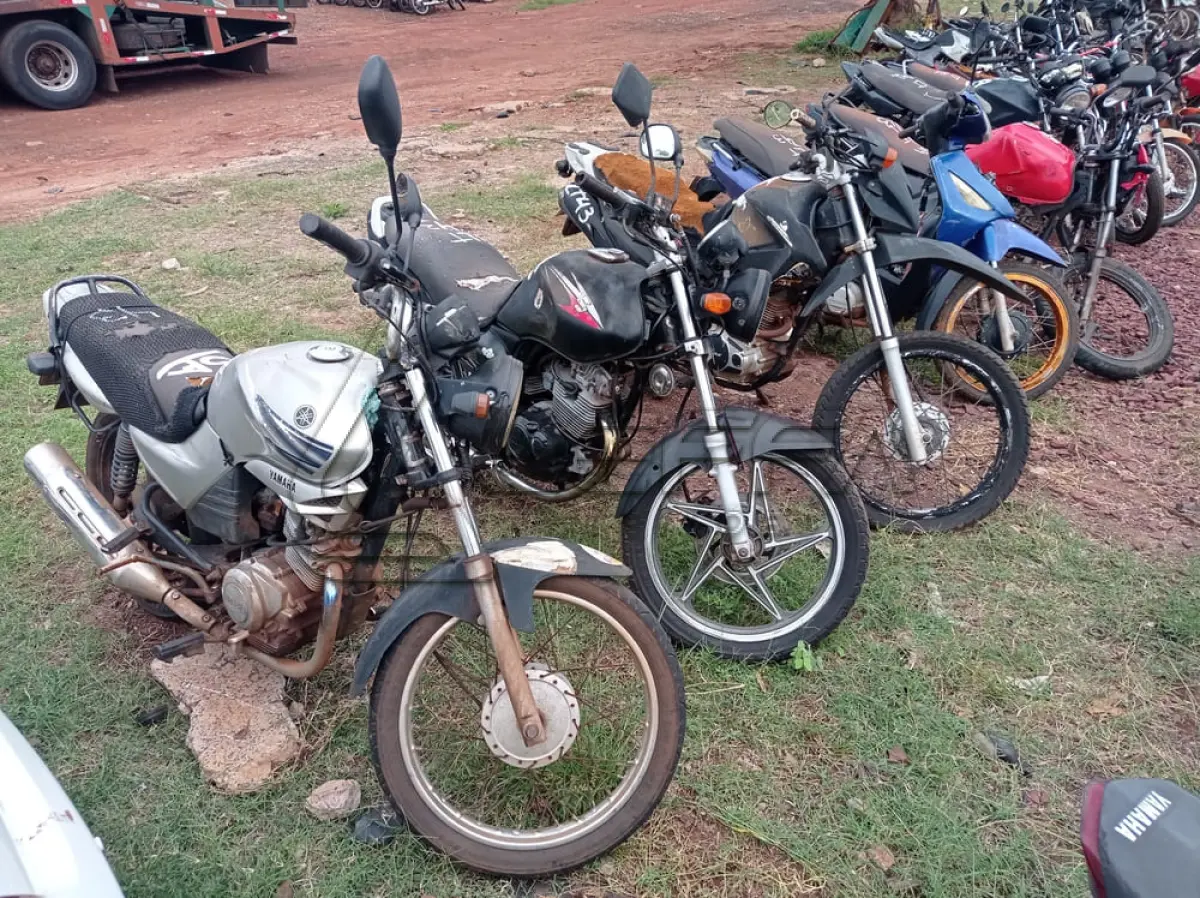 LOTE 0043