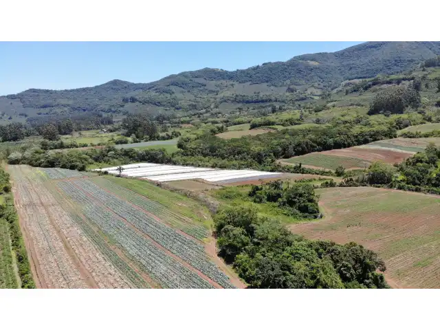 UM TERRENO RURAL DE 14,9 HECTARES, COM BENFEITORIAS, SITUADO NO LUGAR DENOMINADO MORRO DO CHAPÉU, NO MUNICÍPIO DE TRÊS FORQUILHAS/RS
