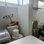 2 (DOIS) CRIADOS MUDO