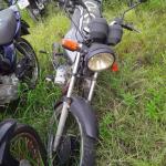 LOTE 0088