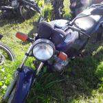 LOTE 0167