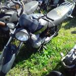 LOTE 0166