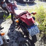 LOTE 0049