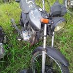 LOTE 0088