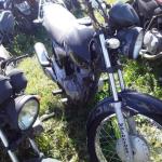 LOTE 0166