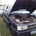 LOTE 0172