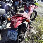 LOTE 0049
