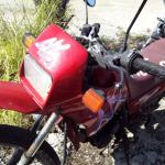 LOTE 0049