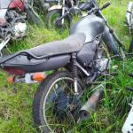 LOTE 0088