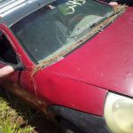 LOTE 0077