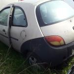 LOTE 0075