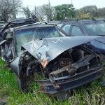 LOTE 0085