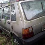 LOTE 0081