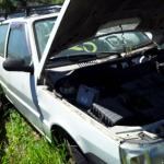 LOTE 0078