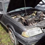 LOTE 0070