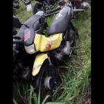 LOTE 0062