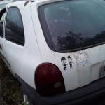 LOTE 0070
