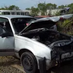 Foto 8