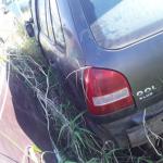 LOTE 0076