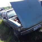 LOTE 0082