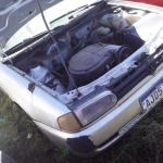 LOTE 0080