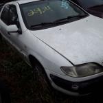 LOTE 0072