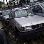 LOTE 0081