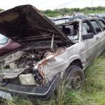 LOTE 0075