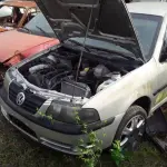 Foto 7