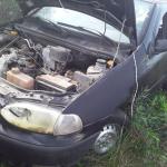 LOTE 0075