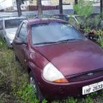 LOTE 0077