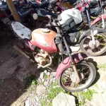 Foto 13