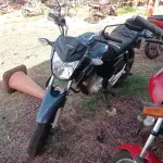 Foto 12
